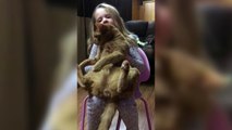 Little Girl Plays with Cat like a Doll - Funny Animals Channel