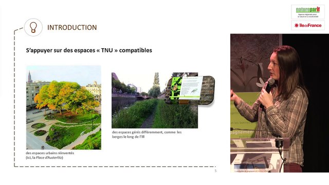 Le tissu naturel urbain de Strasbourg, modélisation sur la base de l'écureuil roux et plan d'actions. Eugénie Schwoertzig, université de Strasbourg.