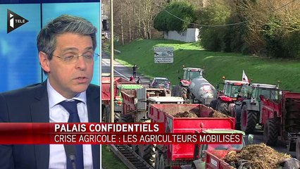 Palais confidentiels du 15/02/2016