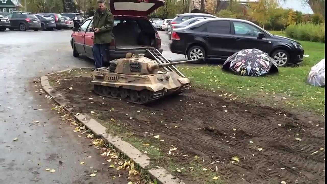 Купил себе Тигра