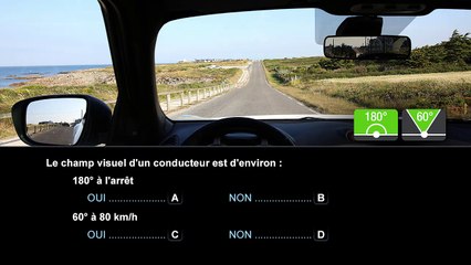 Question 15 - Capacité de perception, d'évaluation et de décision