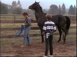 l'étalon noir saison 1 pris au piege