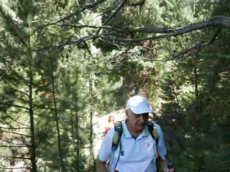 Halil ÇINAR