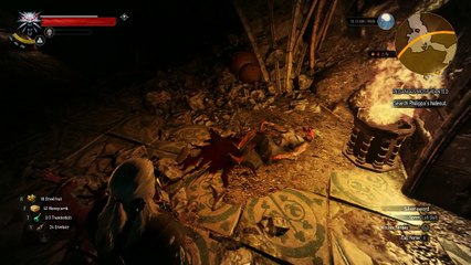 Witcher 3 Wild Hunt Gameplay Part 120