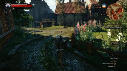 Witcher 3 Wild Hunt Gameplay Part 122