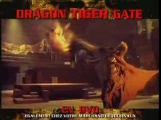 DRAGON TIGER GATE