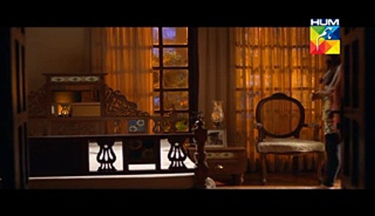 Diyar E Dil Episode 29 Full HUM TV Drama 29 Sep 2015 - Video Dailymotion