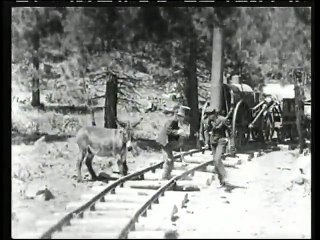 Amazing - Old Train System (Very Funny)