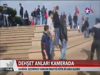 Tasması bırakılan Boxter köpek Kanişi böyle boğdu