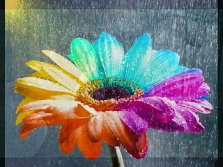 MOEIN new- with Kurdish subtitles( شه وانی ڕۆیشتنی تۆ - موئین )