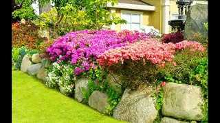 Яркие цветники украсят ваш сад! Красивые идеи для дачника