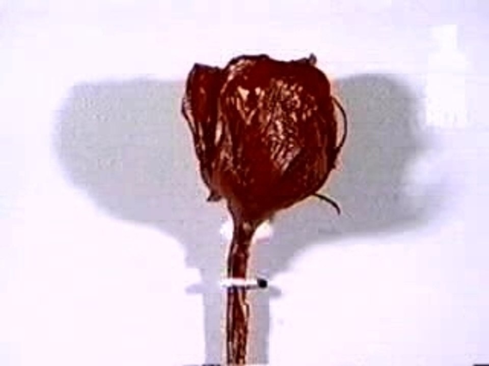 DepecheMode_EnjoyTheSilence
