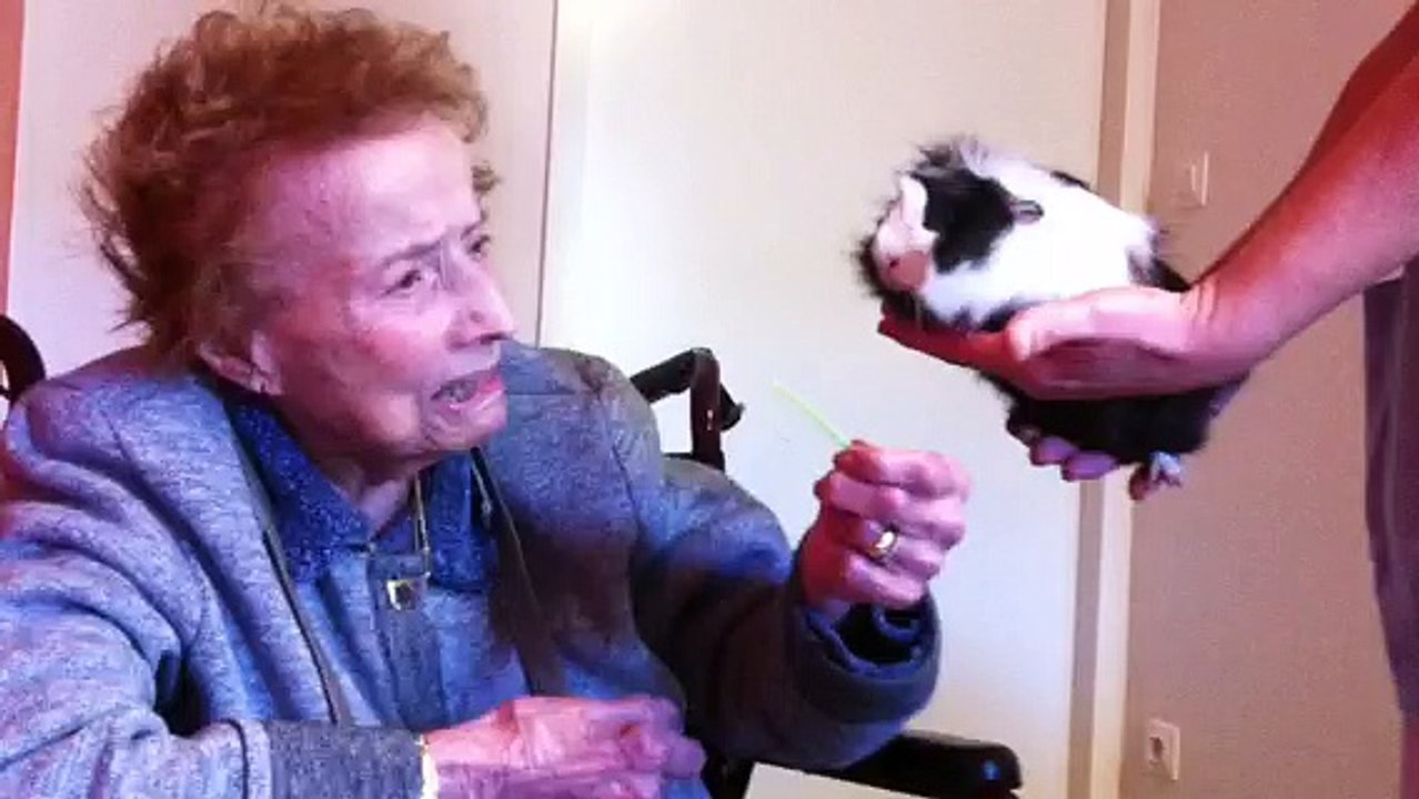 A l'Ehpad de Royère de Vassivière, les résidents partagent leur vie avec plusieurs animaux