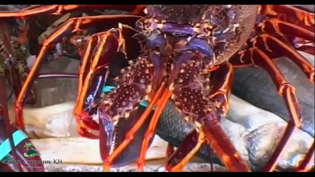 Отдых на островах Италии- остров Сардиния