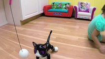 CUTE ZOOMER KITTY & ZUPPIES PUPPY Interactive Pets Pet Puppy Cute Kitten Cat Toy Opening Kids Toy