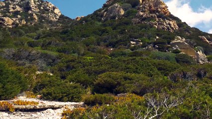 Остров Сардиния в 4К