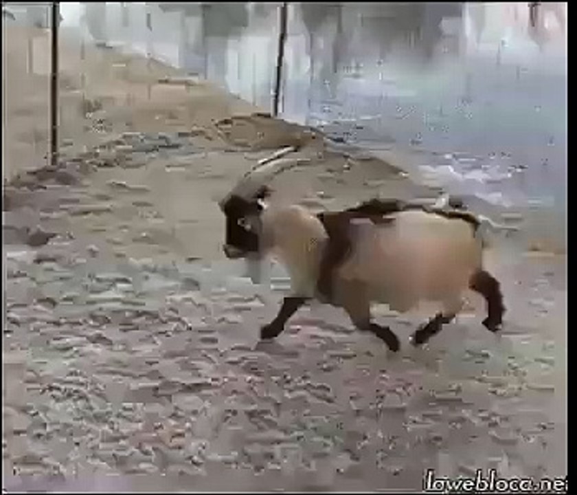 Ahahaha is so good..