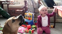 Funny Babies Laughing Hysterically Seeing Dogs Eating Bubbles Compilation [NEW HD EDITION]