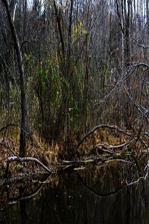 홀짝사다리 ♛「〃GT-77WAY.COM〃」♛추천코드: Win365