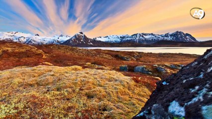 Peygamberlerin ve salih müminlerin örnek tevekkülü