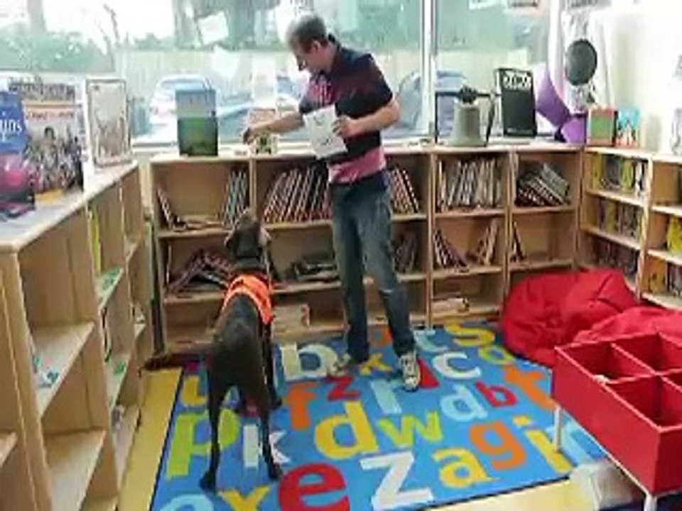 Dog Learned How To Read