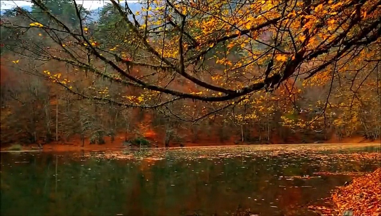 Rd