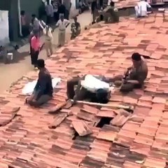 leapord attack india