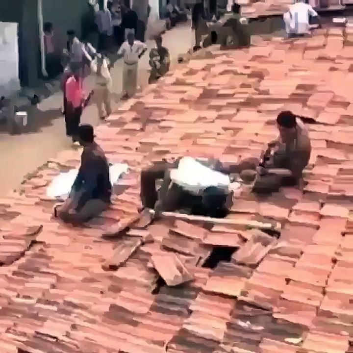 leapord attack india