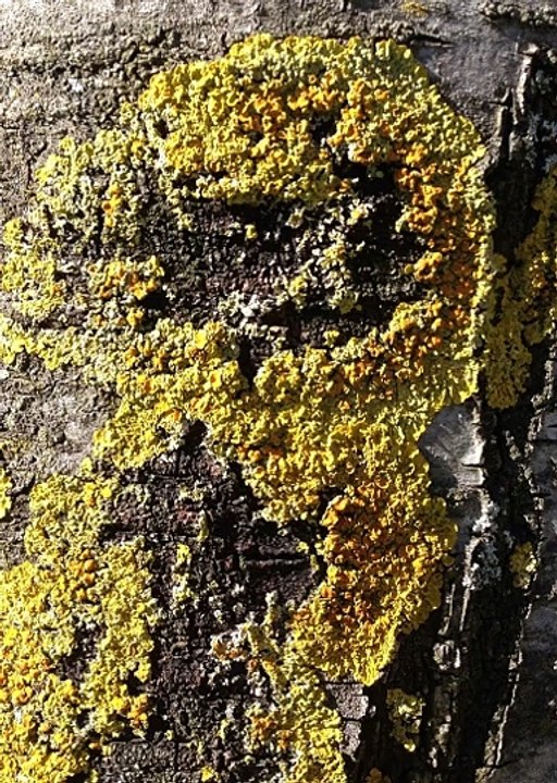 네임드사다리 ♛「〃GT-77WAY.COM〃」♛추천코드: Win365