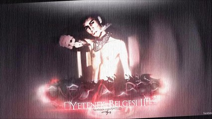 Enes Alper - Yetenek Belgesi 2