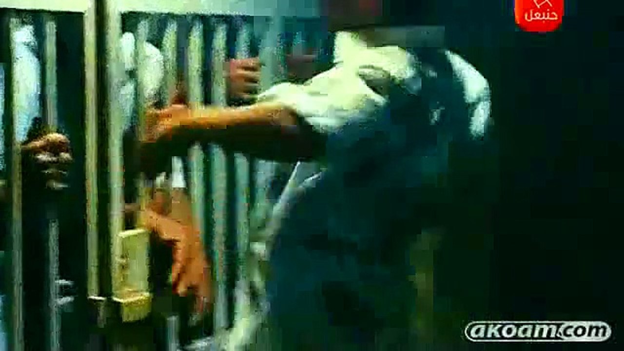 فلسطين الحبيبة