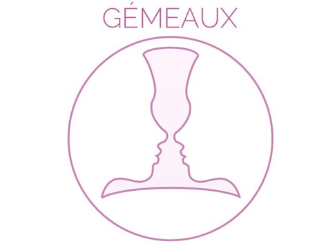 Exclu Vidéo : GEMEAUX : Le passage de Mercure en Verseau vous donne l'avantage