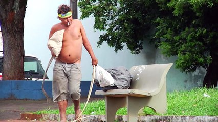 Teaser Divulgação "Pedras, Plantas e Outros Caminhos"