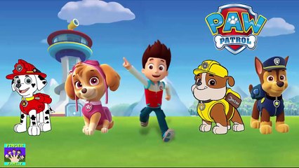 PAW PATROL Finger Family Song For Children | Dady Finger Nursey Rhymes