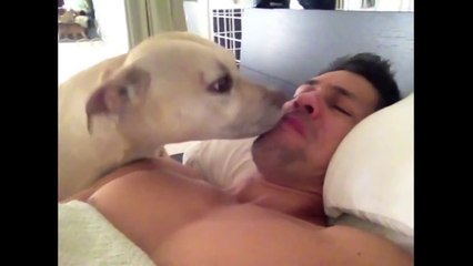 Что верно, то верно))) Собаки — лучшие будильники!))