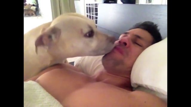 Что верно, то верно))) Собаки — лучшие будильники!))