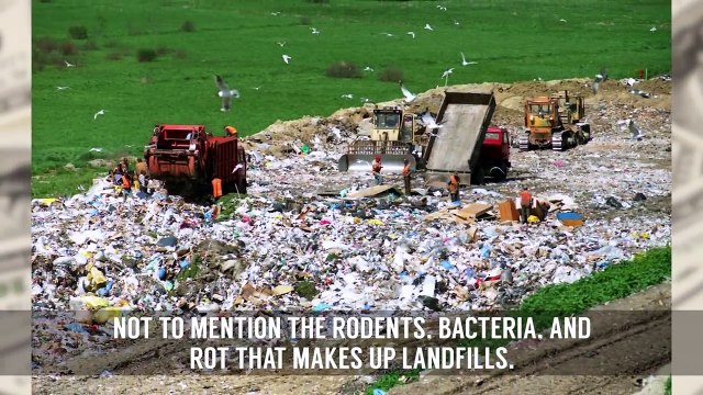 Dirty Jobs That Pay Well (2)