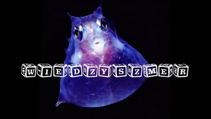 Magiczna Góra Tybetu - film dokumentalny