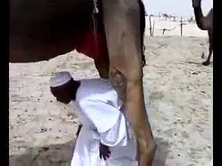 Я ВООБЩЕ ПРОСТО ОРАЛ