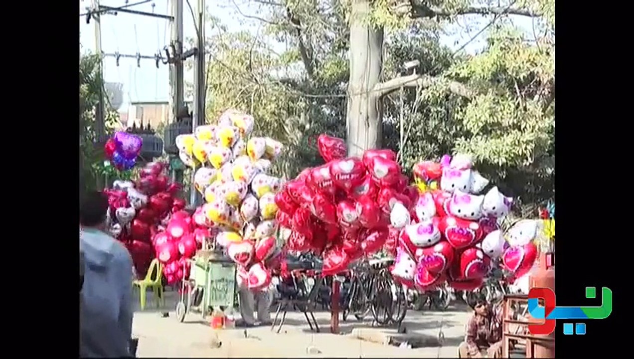 Minhaj-ul Quran Ladies Celebrating Valentines Day Or Haya Day, Watch Video
