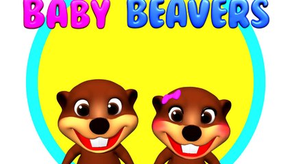 Island Groove Doodles Collection | Babies Learn Shapes, Fruits, the ABCs, Nursery Rhymes & More