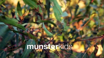 Munsterkids Clothing Wild Side
