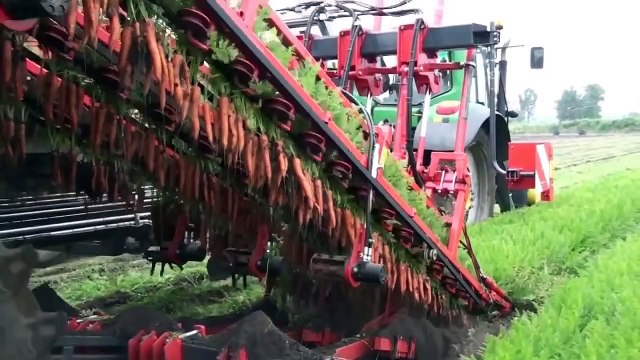 5 минут гармонии