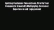 [PDF] Igniting Customer Connections: Fire Up Your Company's Growth By Multiplying Customer