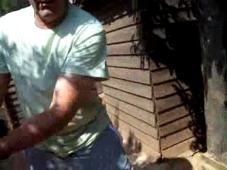 Méthodes pour aider un pigeonneau à s'endormir