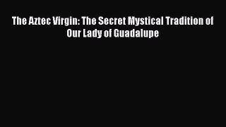 PDF The Aztec Virgin: The Secret Mystical Tradition of Our Lady of Guadalupe Free Books