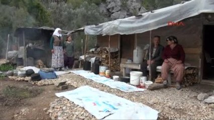 Evlerinden Olunca, Ahırda Yaşamaya Başladılar