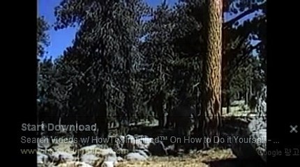 윈스바카라ぎ＼＼【KOP77。COM】＼＼ん바카라주소달팽이게임