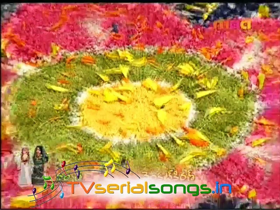 Puttinti pattucheera 2_1