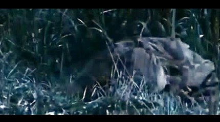 블랙잭규칙び＼＼【KOP77。COM】＼＼の바카라그림바카라게임